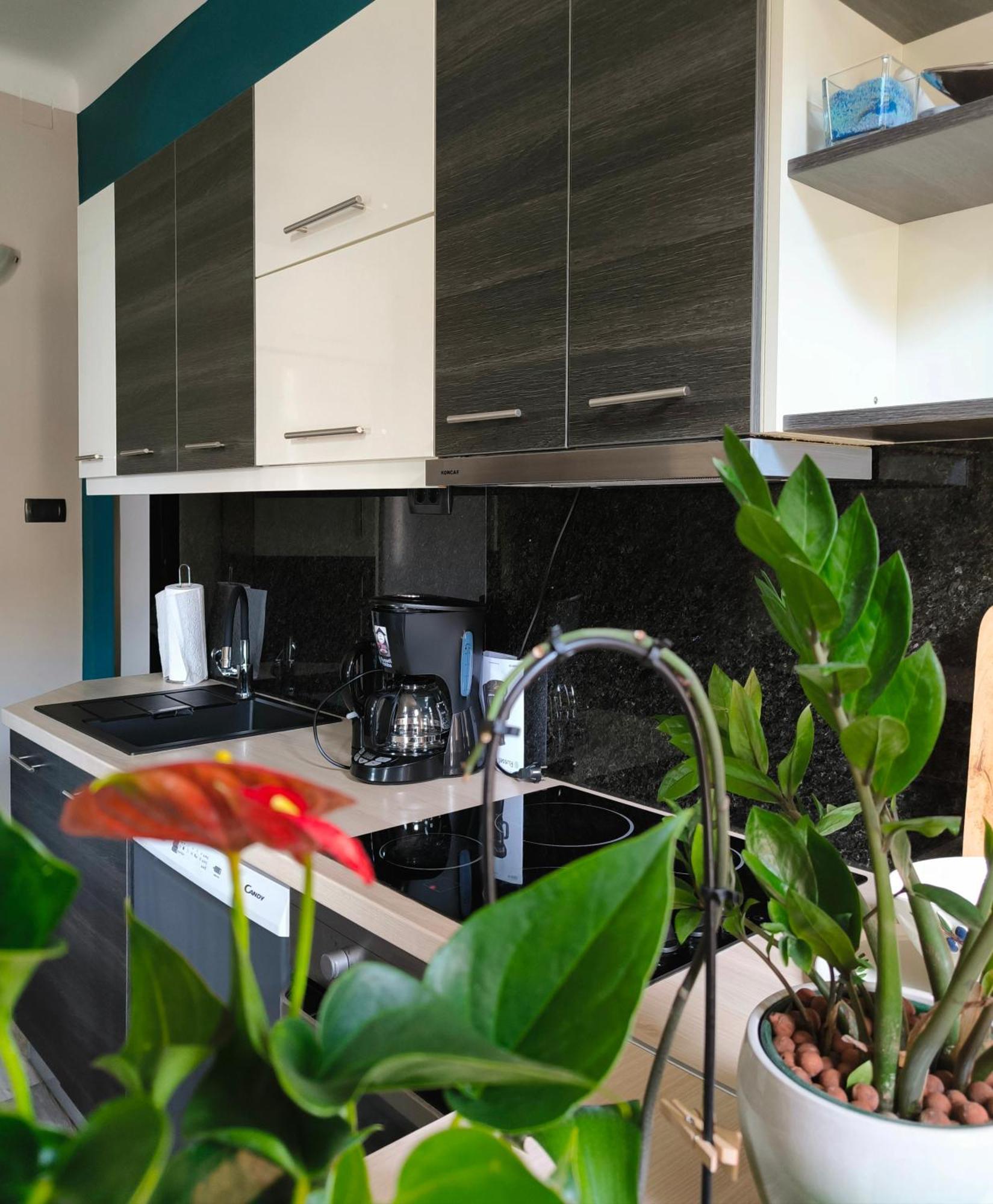 Urban Villa Apartment Опатія Екстер'єр фото
